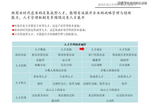 新组织设计管理咨询项目建议书