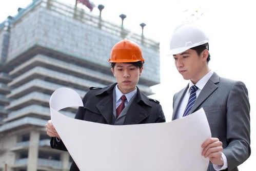 解析bim在工程咨询造价中的运用研究