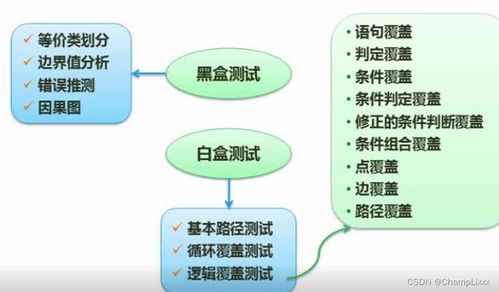 软件工程 软件测试 mccabe复杂度 cmmi和项目管理