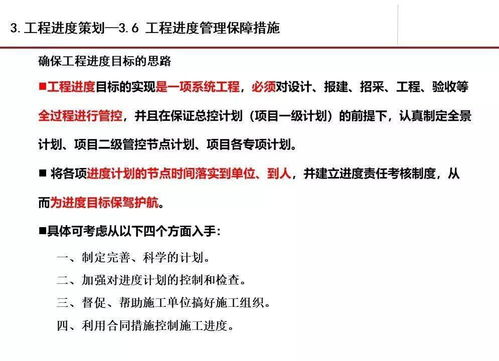 项目 工程管理实际案例分析ppt