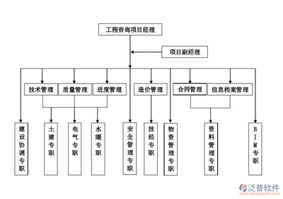工程咨询公司项目管理软件