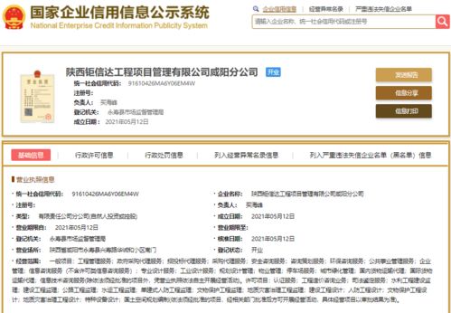 注册资本达3000亿 刚刚成立的工程咨询公司,是行业巨无霸