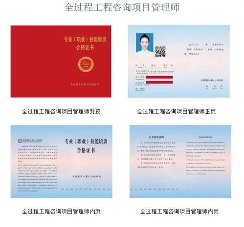 人社部职业 全过程工程咨询师 项目管理师