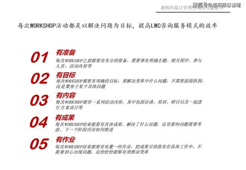 新组织设计管理咨询项目建议书