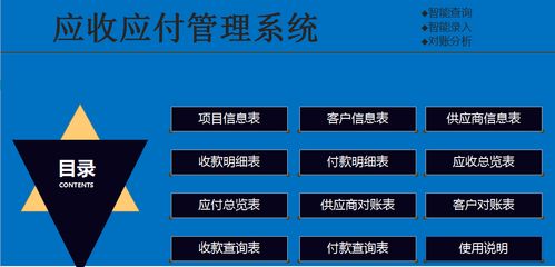 98年美女会计编制的应收应付管理系统,真牛啊