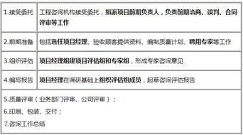 2020咨询师知识点 项目评估质量控制