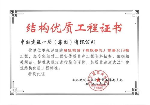大桥集团项目荣获武汉市结构优质工程奖 卓越工程项目管理咨询的典范
